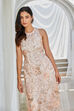 Peach Nude Viscose Straight Suit Set image number 0