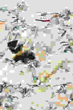 White Polyester Tiered Dress image number 1