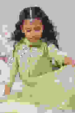 Lime Green Art Silk Lehenga Set image number 0