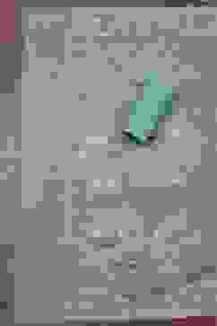 Blue Cotton Jamdani Unstitched Suit Set image number 3