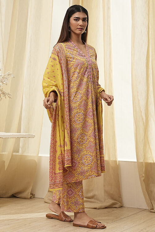 Green Cotton Printed Straight Suit Set image number 5