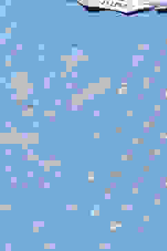 Blue LIVA Straight Kurta Palazzo Suit Set image number 1