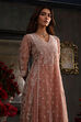 Light Green Organza Embroidered Kalidar Suit Set image number 1