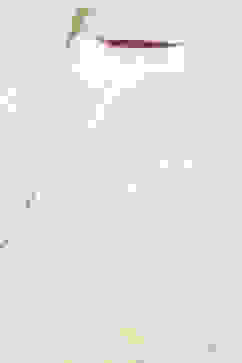 White Polyester Blend Straight Dress image number 1