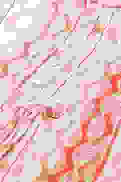 Coral LIVA Straight Printed Kurta image number 1