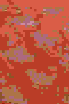 Burnt Orange Art Silk Straight Printed Kurta image number 1