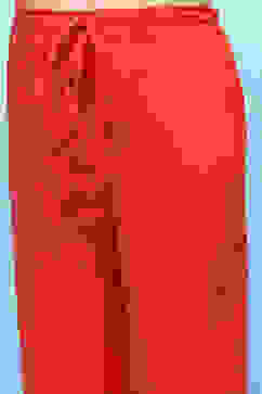Red Printed Gathered Kurta With Red Solid Pant image number 2