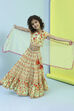Lime Green Cotton Lehenga Set image number 0