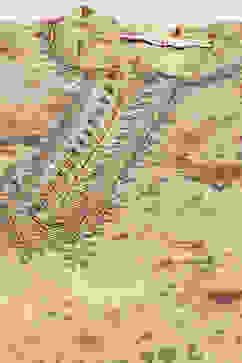 Beige Polyester Straight Kurta image number 1