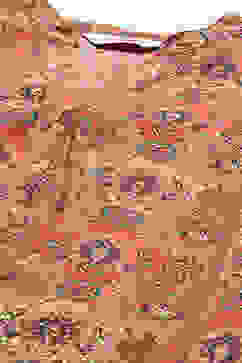 Peach Viscose Blend Straight Printed Kurta image number 1