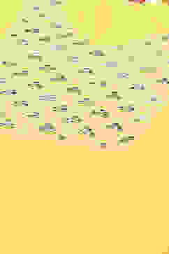 Yellow Rayon Straight Kurta Pants Suit Set image number 1