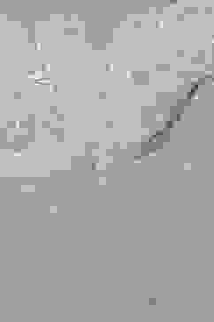 Sap Green Poly Viscose Straight Kurta Salwar Pant Suit Set image number 1