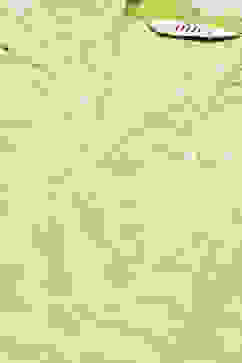 Green Cotton Straight Printed Kurta image number 1