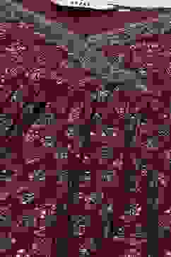 Maroon Cotton Printed Suit Set image number 1