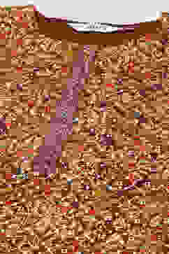 Choco Brown Cotton Blend Straight Printed Kurta Afgan Pant Suit Set image number 1