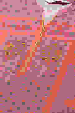 Purple Cotton Straight Printed Kurta image number 1