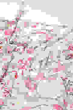 Off White Cotton Flared Dress image number 1