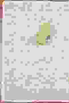 Light Green Cotton Printed Embroidered Unstitched Suit Set image number 3