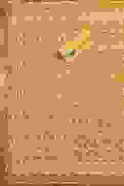 Lime Green Cotton Screen Print Unstitched Suit Set image number 3