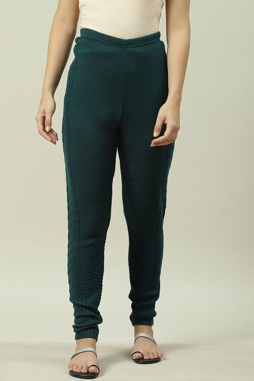 Maroon Acrylic Jeggings image number 0
