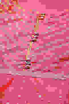 Coral Art Silk Flared Printed Kurta image number 5