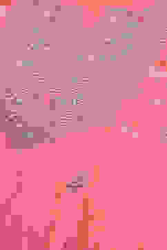 Coral Polyester Straight Kurta Salwar Suit Set image number 1