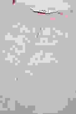 Pink Viscose Straight Printed Kurta image number 5