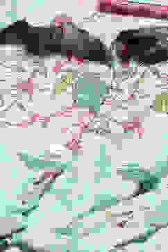 Mint Green Cotton Shirt image number 1