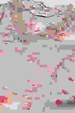 Grey Modal A-Line Kurta Palazzo Suit Set image number 1