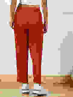 Rust Solid Mid-Rise Regular Pants image number 5