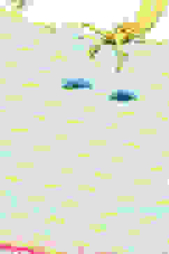 Light Blue Cotton Straight Printed Kurta Set image number 1