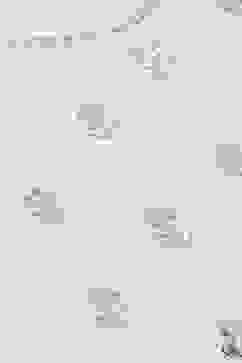 Ivory Cotton Blend Straight Kurta Garara Suit Set image number 1