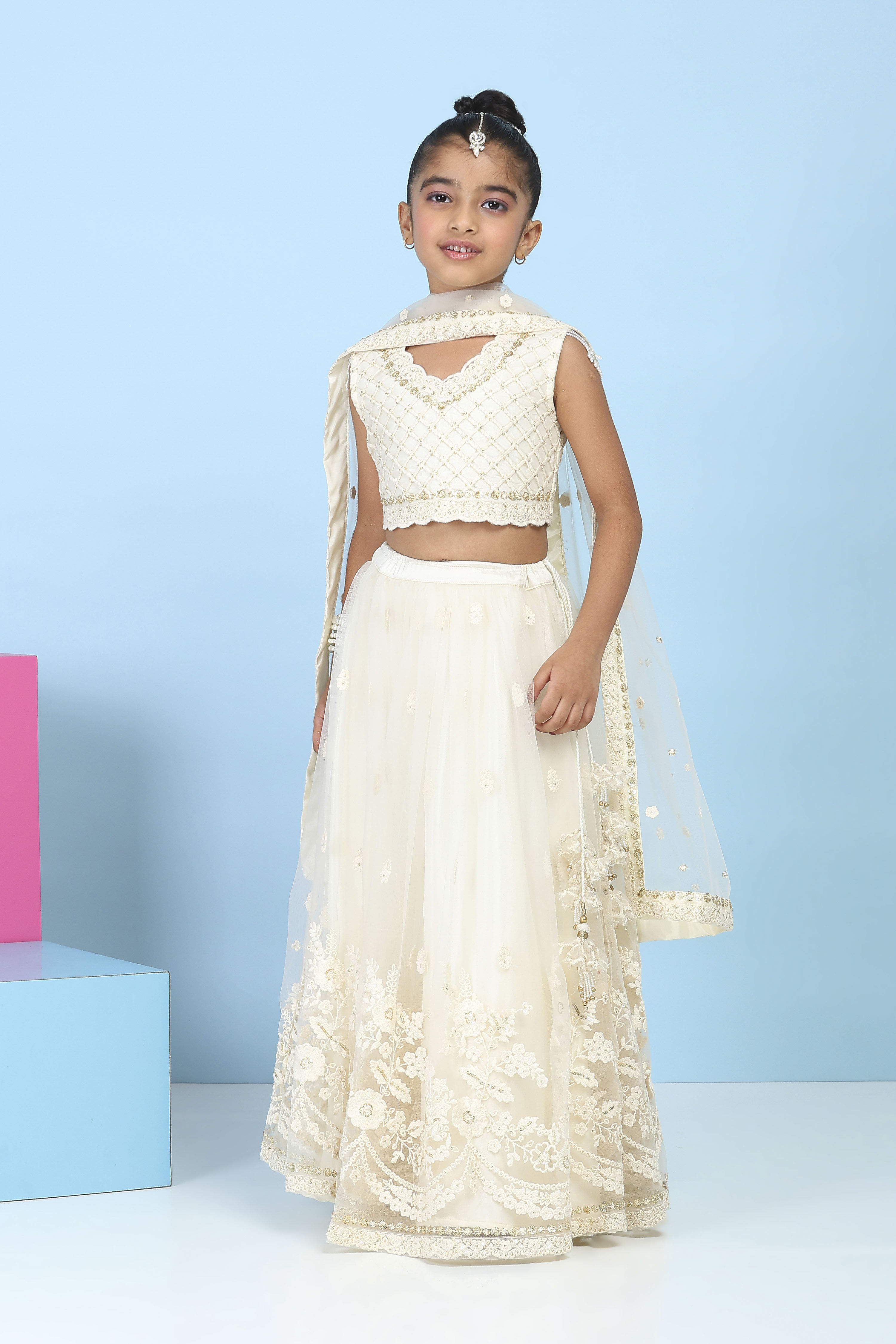 Neutral Butterfly Net Embroidered Regular Lehenga Set image number 6