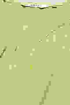 Lime Green LIVA Straight Kurta Pant Suit Set image number 1