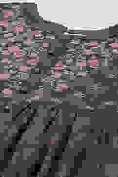 Indigo Cotton A-Line Printed Dress image number 1