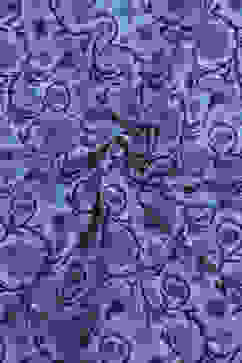 Indigo Cotton Screen Print Unstitched Suit Set image number 2