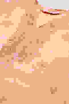 Blush Pink Cotton Blend Straight Kurta Pant Suit Set image number 1