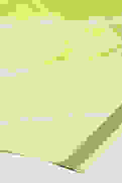 Lime Green Cotton Blend Printed Dupatta image number 2