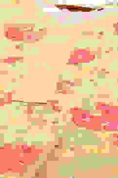 Yellow Art Silk Straight Kurta Narrow Pants Suit Set image number 1