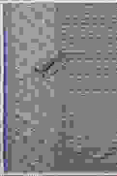 Blue Cotton Screen Print Unstitched Suit Set image number 3