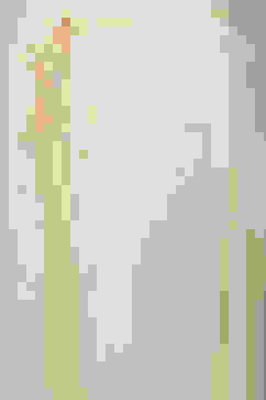 Cream Cotton Flared Kurta Set image number 2