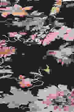 Rohit Bal Black Silk & Cotton Straight Kurta Suit Set image number 1