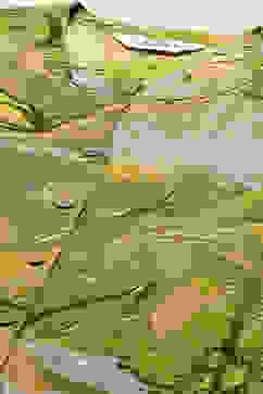 Green Rayon Straight Kurta image number 1