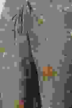 Grey Printed Cotton Straight Kurta Palazzo Suit Set image number 2