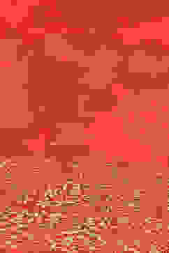 Red Anarkali Kurta Churidar Suit Set image number 3