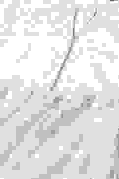 Off White Cotton Flared Printed Dress image number 1