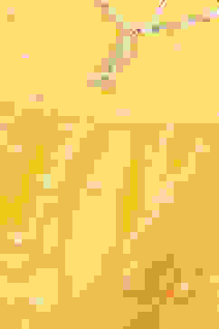 Yellow Nylon Gathered Embroidery Kurta Palazzo Suit Set image number 4