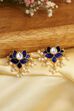Navy Stone Earrings image number 0