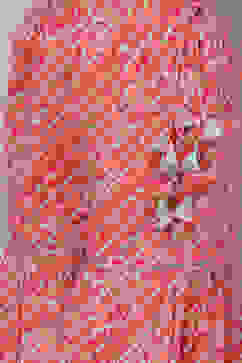 Aqua & Coral Cotton Printed Kurta Garara Suit Set image number 2