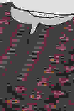 Black Polyester Straight Printed Kurti image number 1